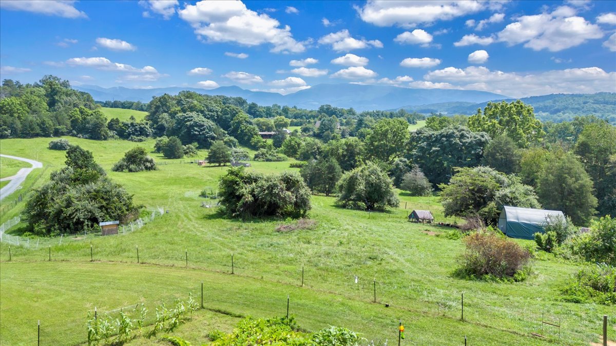 Buchanan, Virginia, 24066, United States, 5 Bedrooms Bedrooms, ,4 BathroomsBathrooms,Residential,For Sale,1900741