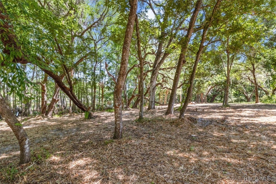 Inverness, Florida, 34450, United States, 3 Bedrooms Bedrooms, ,2 BathroomsBathrooms,Residential,For Sale,1777640