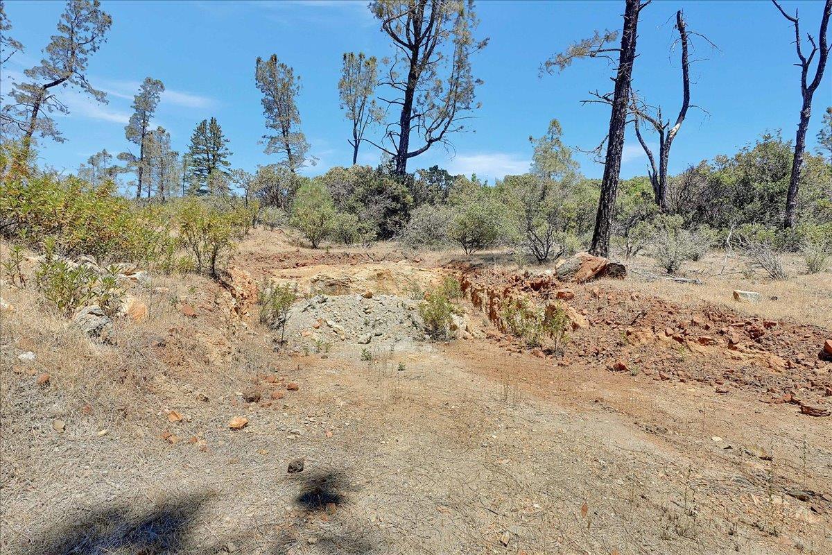 Oregon House, California, 95962, United States, ,Land,For Sale,1975767
