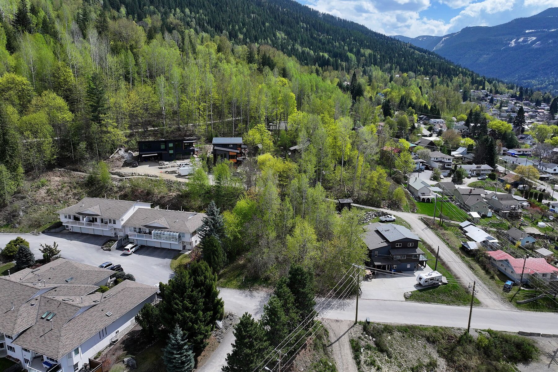  Nelson Ski Town City Lots - 物件實景