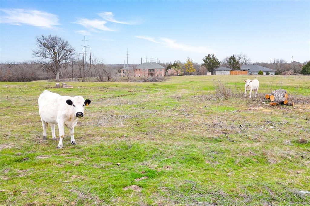 Argyle, Texas, 76226, United States, ,Residential,For Sale,1915185