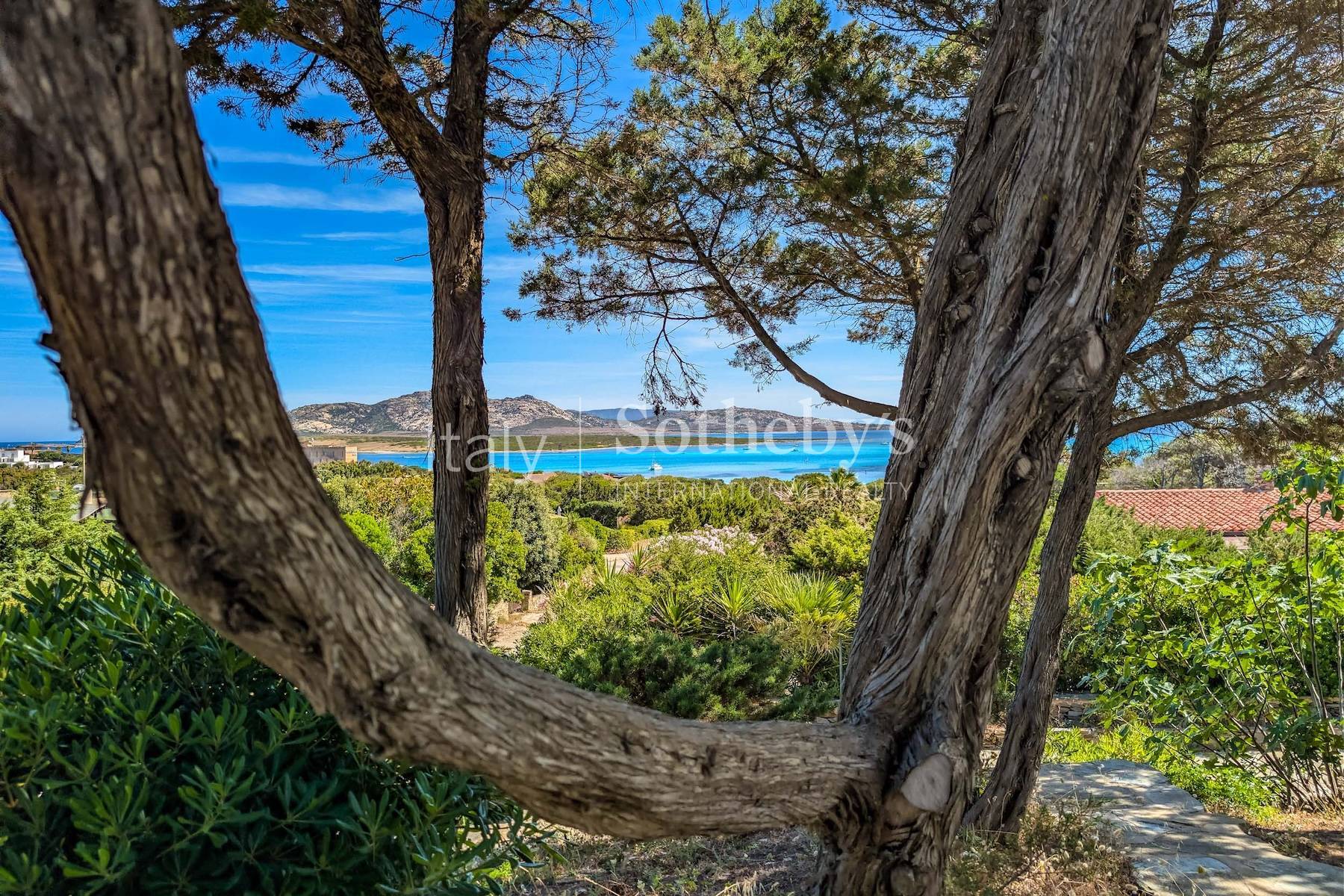  Panoramic Villa Overlooking the Iconic La Pelosa Beach - 物件實景