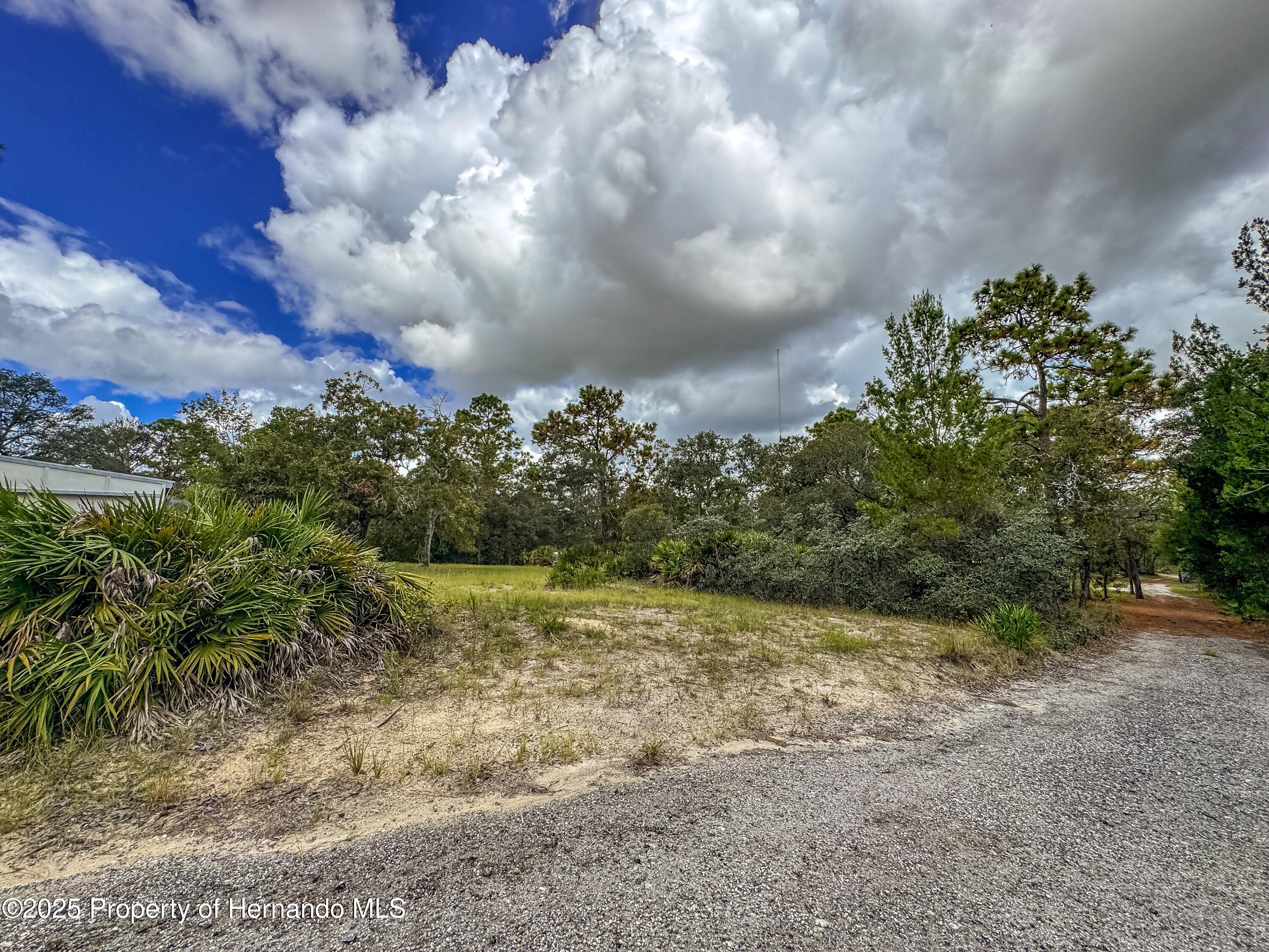 Brooksville, Florida, 34613, United States, 4 Bedrooms Bedrooms, ,2 BathroomsBathrooms,Residential,For Sale,1975088