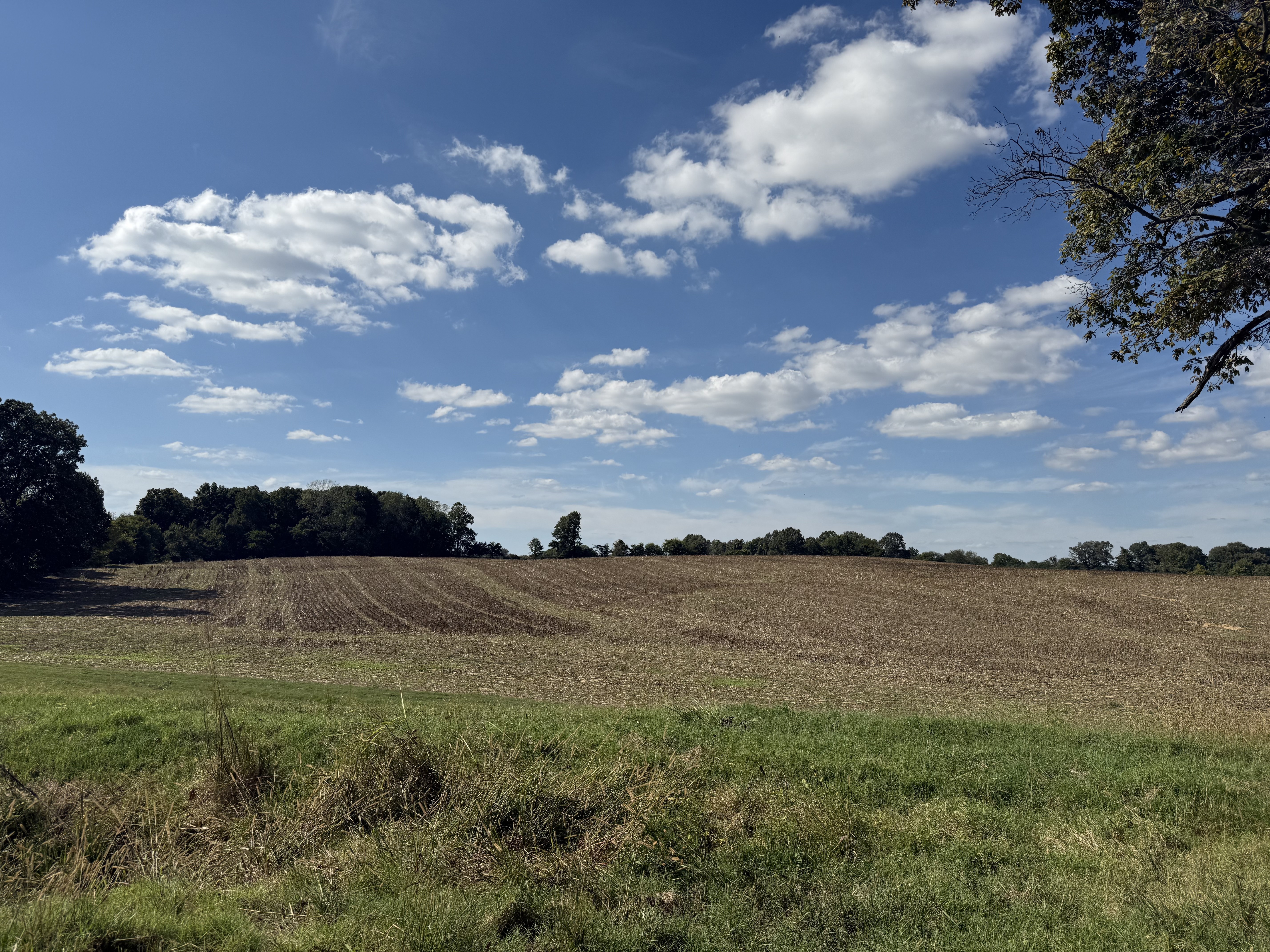 Union City, Tennessee, 38261, United States, ,Land,For Sale,1983547