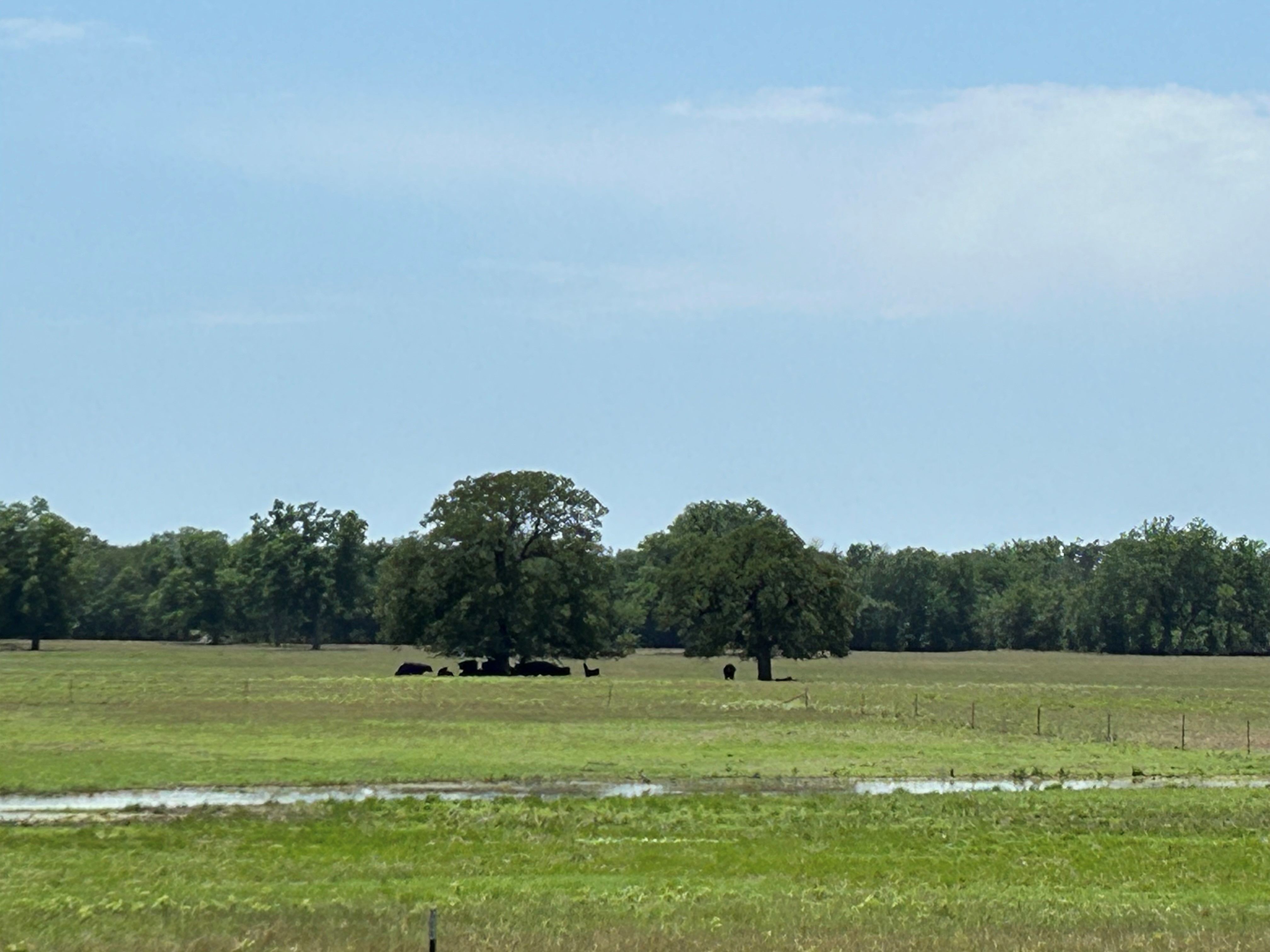 Bridgeport, Texas, 76426, United States, 4 Bedrooms Bedrooms, ,3 BathroomsBathrooms,Residential,For Sale,1701236