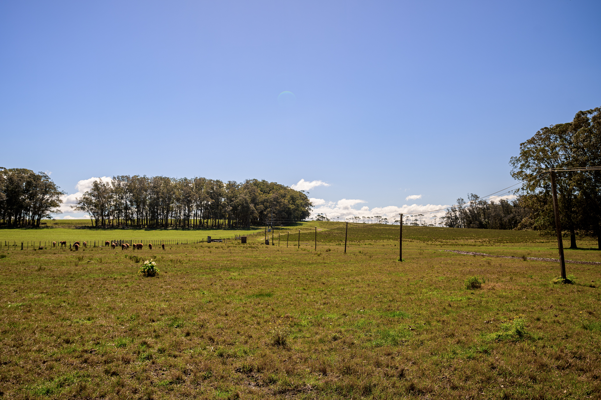  La Virazón  597-Hectare Oceanfront Estate in Rocha, Uruguay - 物件實景