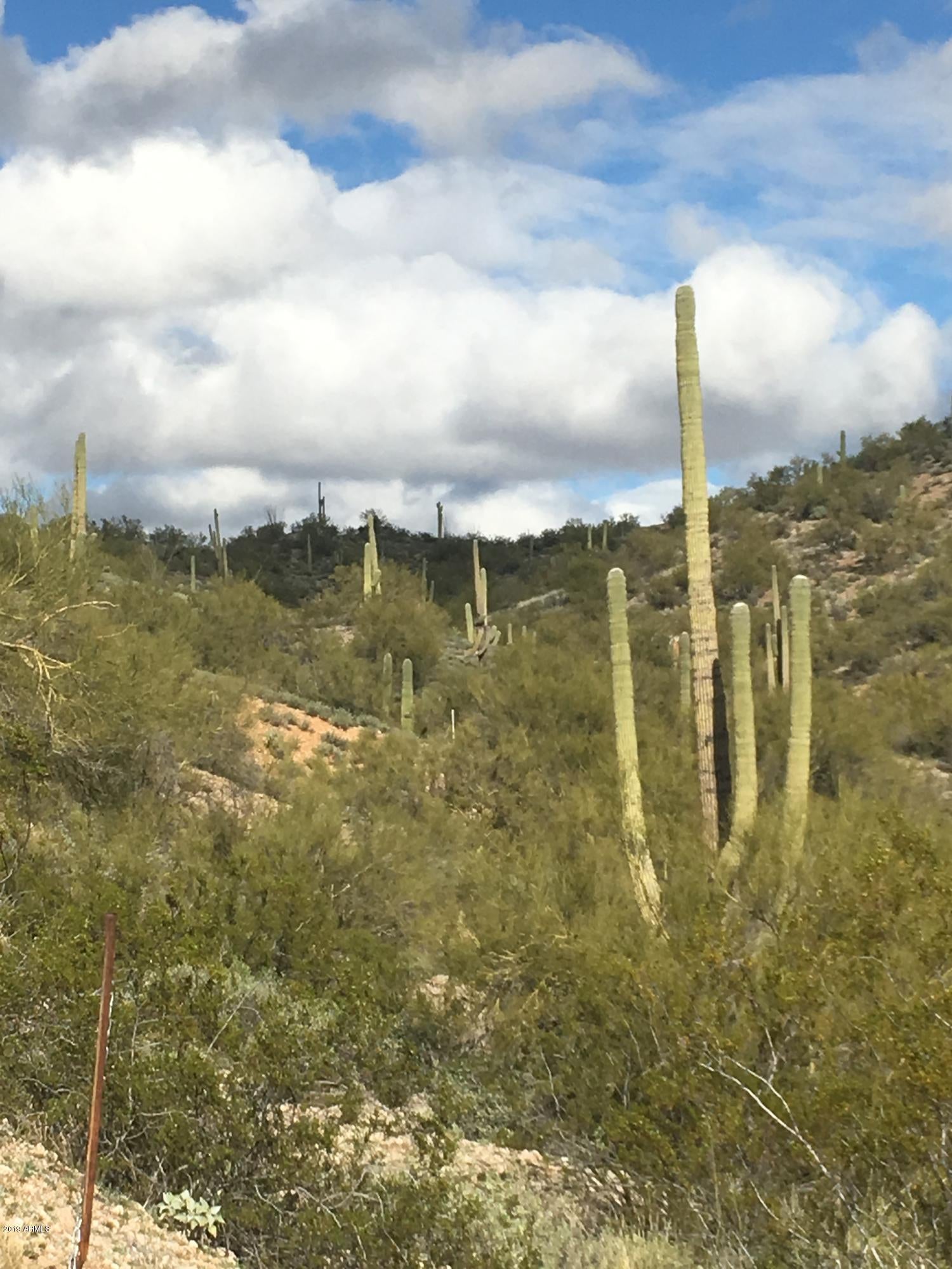 Wickenburg, Arizona, 85390, United States, ,Residential,For Sale,1710886