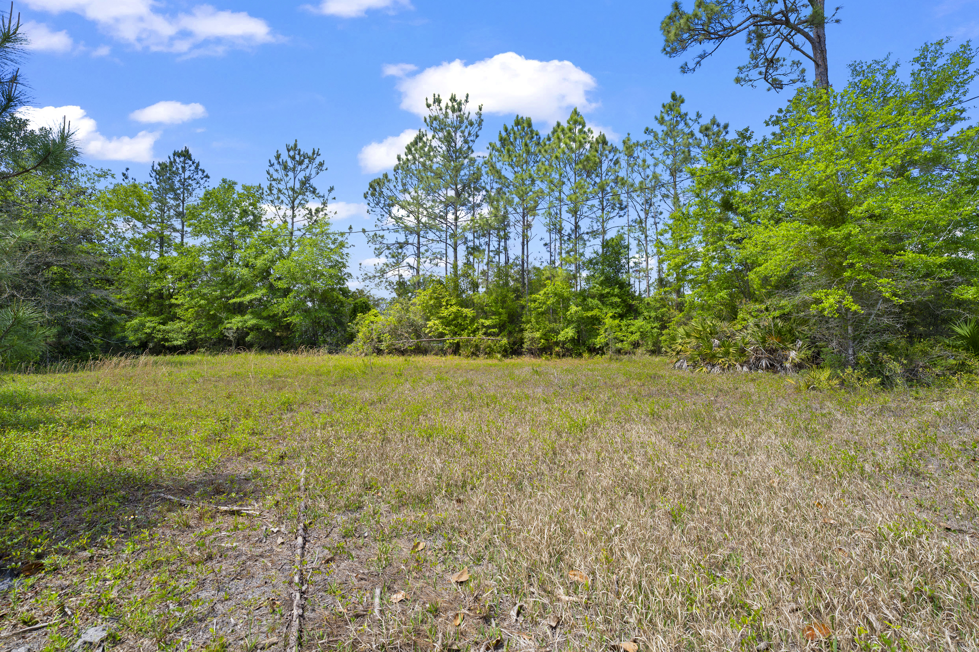  5371 Church Road, St. Augustine, FL, 32092 - 物件實景