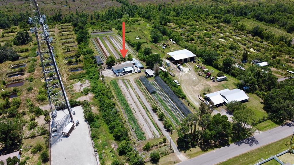 Wimauma, Florida, 33598, United States, 3 Bedrooms Bedrooms, ,2 BathroomsBathrooms,Residential,For Sale,1796216
