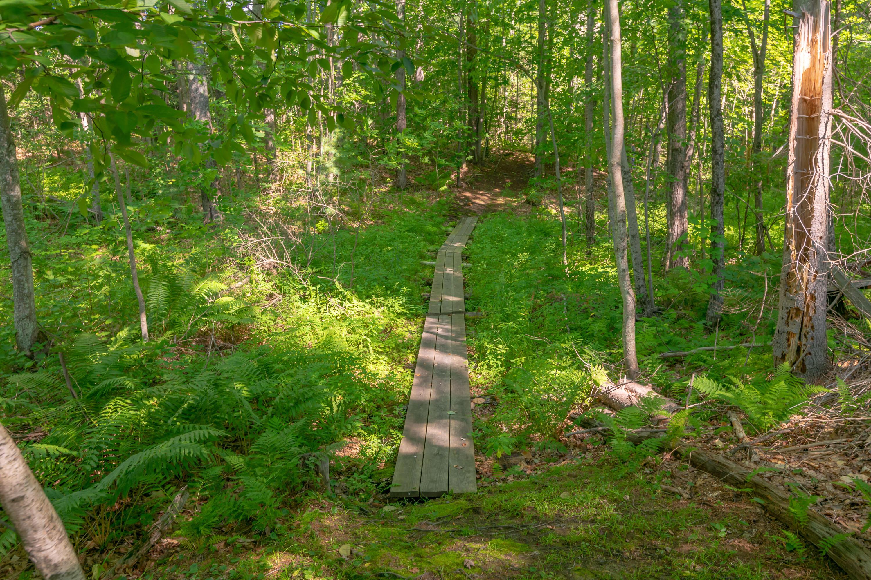  697 Fort Hill Road - 物件實景