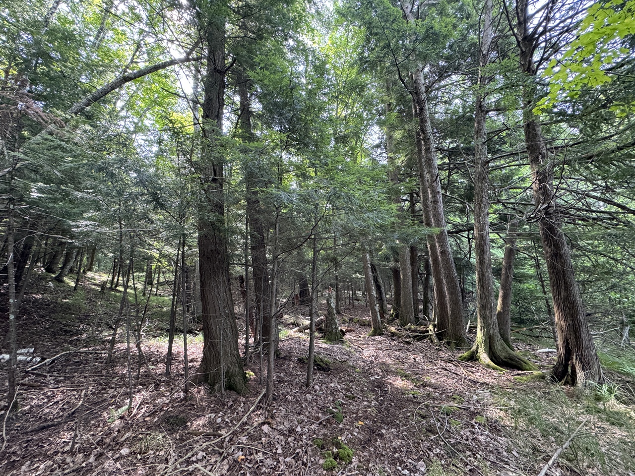 Mercer, Wisconsin, 54547, United States, 3 Bedrooms Bedrooms, ,1 BathroomBathrooms,Residential,For Sale,1974621