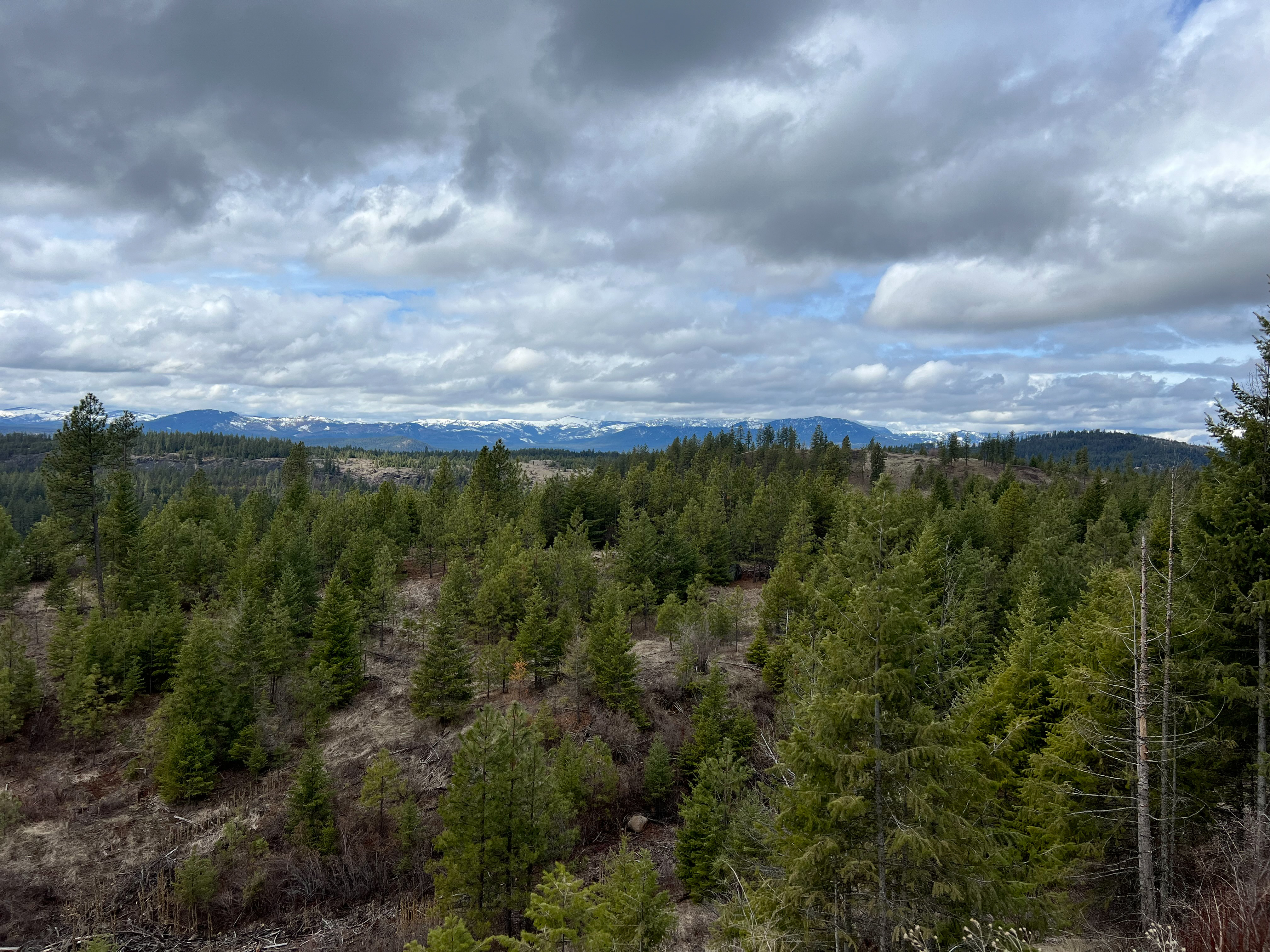 Valley, Washington, 99181, United States, ,Land,For Sale,1979391