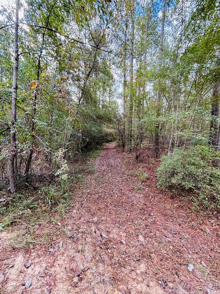 Abbeville, Georgia, 31001, United States, ,Land,For Sale,1975130