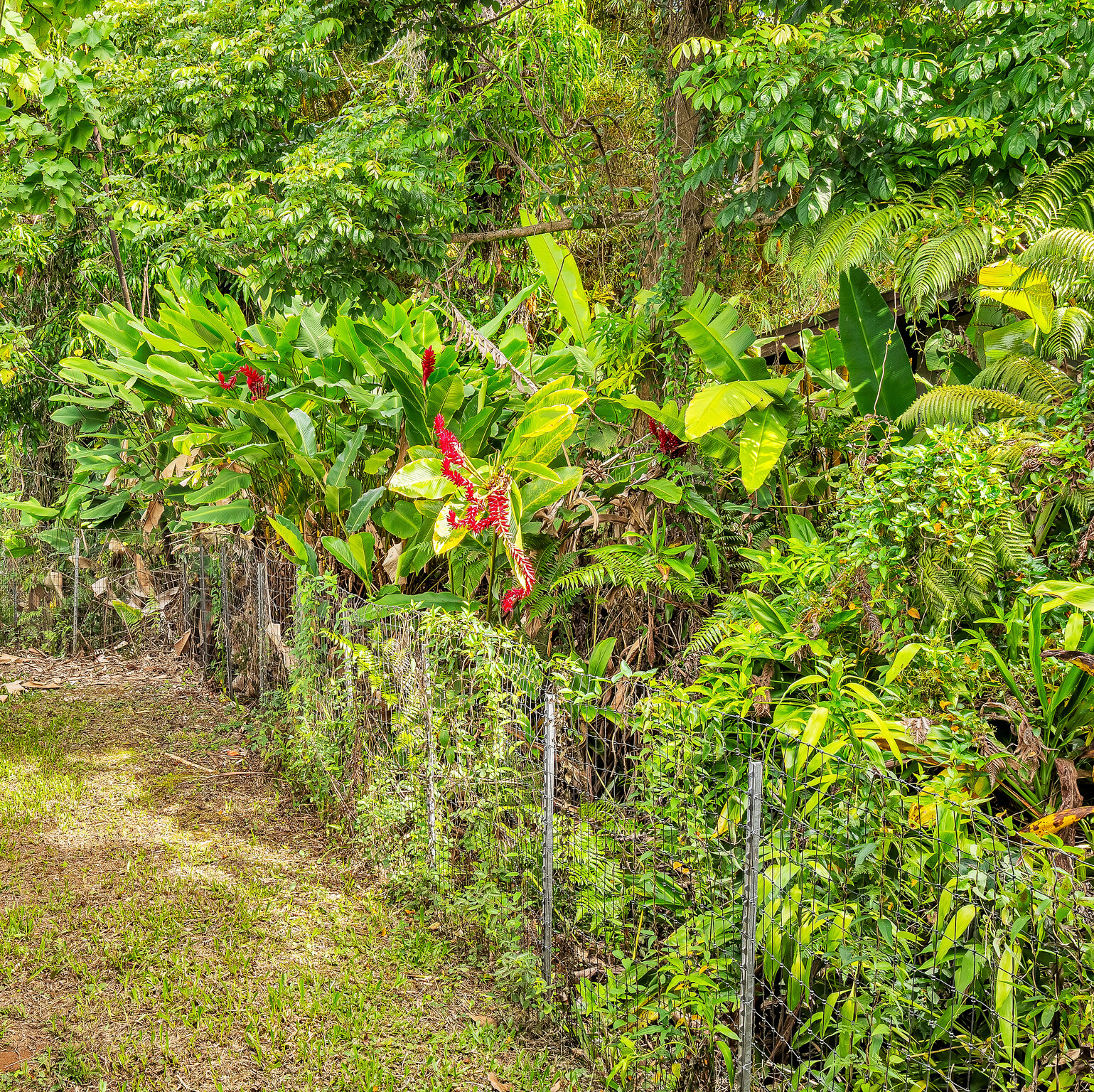 Hilo, Hawaii, 96720, United States, 3 Bedrooms Bedrooms, ,1 BathroomBathrooms,Residential,For Sale,1991302