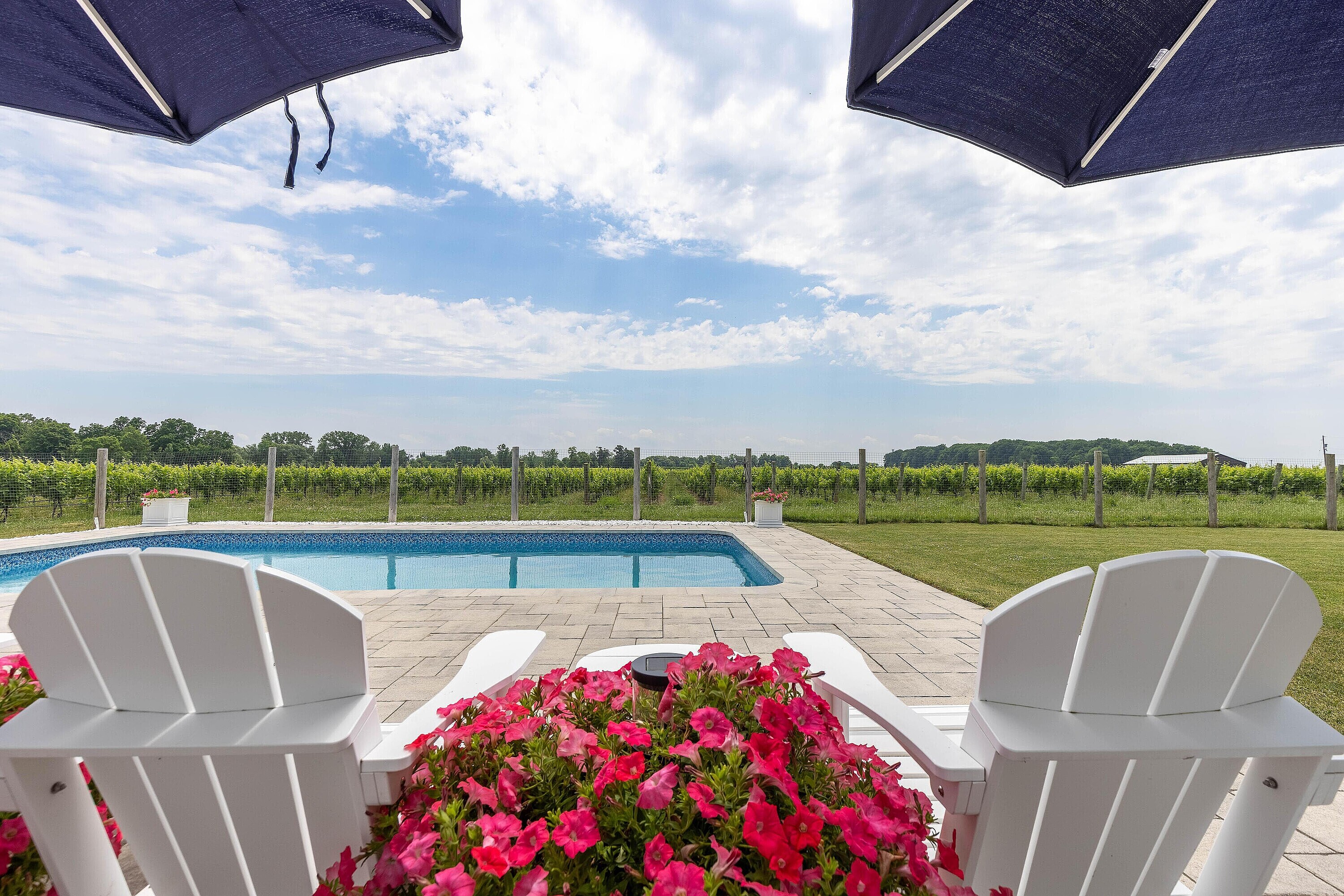  Luxury Vineyard Living - 物件實景
