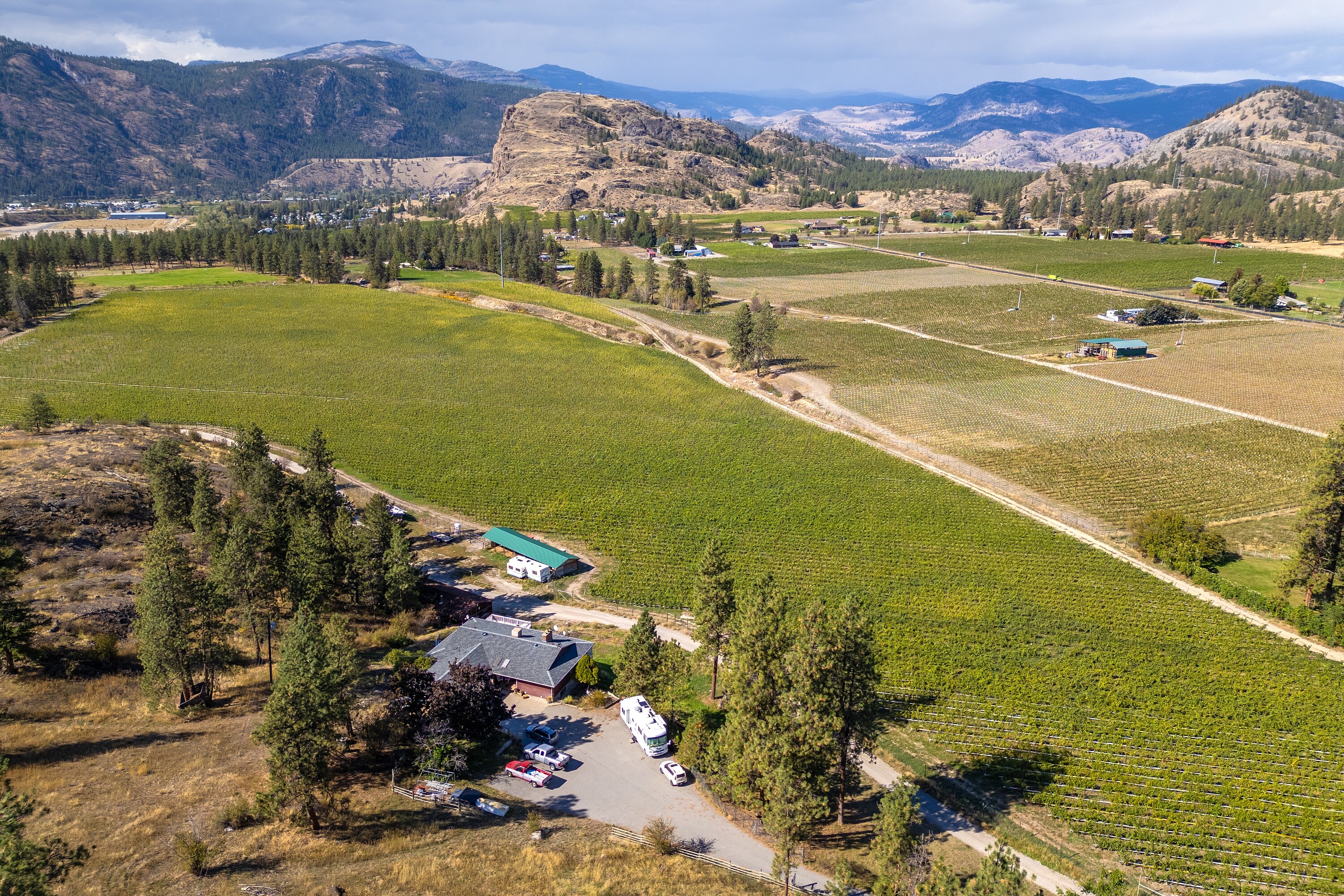  Vineyard in Okanagan Falls - 物件實景