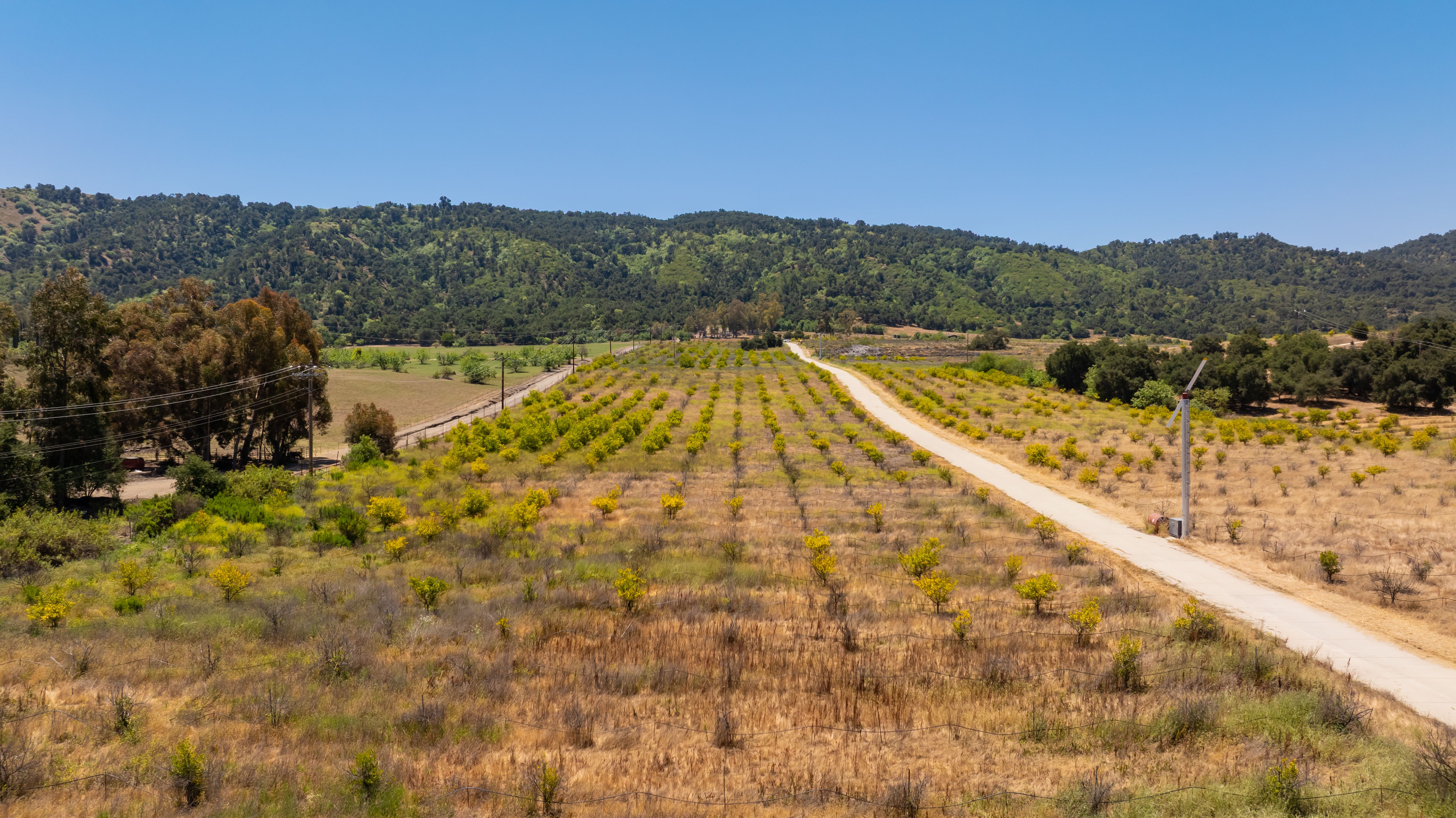  12400 Ojai Santa Paula Road, Ojai, CA 93023 - 物件實景