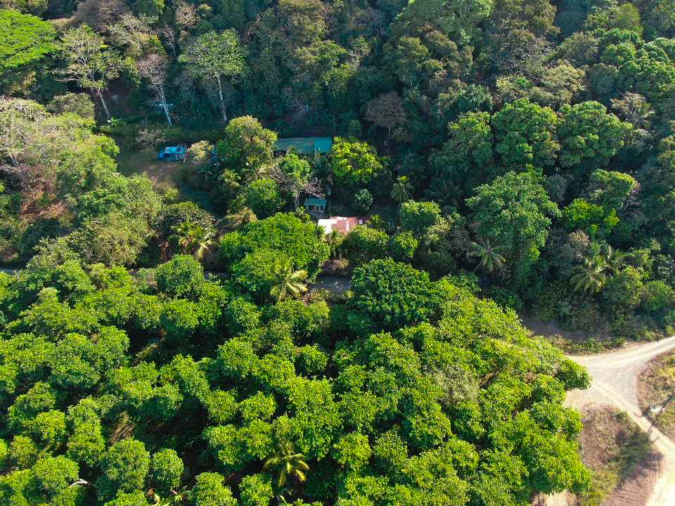 Osa Peninsula, Carate, Cabo Matapalo, Puntarenas, CR, ,Land,For Sale,Osa Peninsula, Carate,1585857