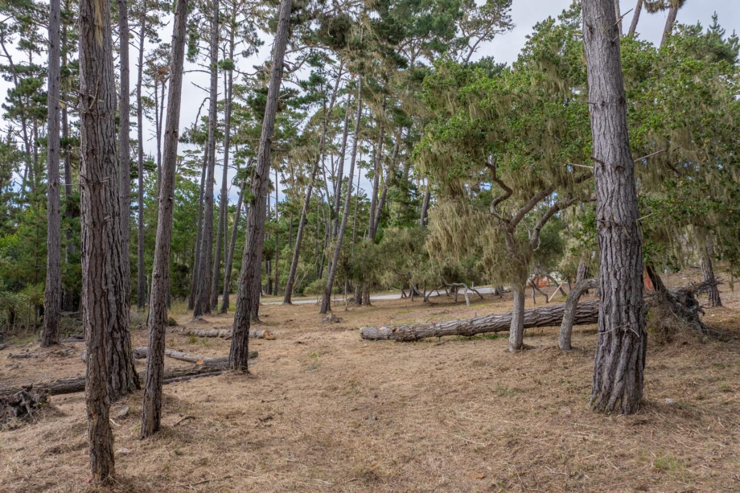Pebble Beach, California, 93953, United States, ,Land,For Sale,1903523