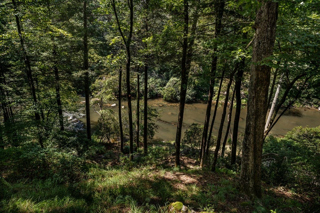 Ellijay, Georgia, 30536, United States, 4 Bedrooms Bedrooms, ,3 BathroomsBathrooms,Residential,For Sale,1926497