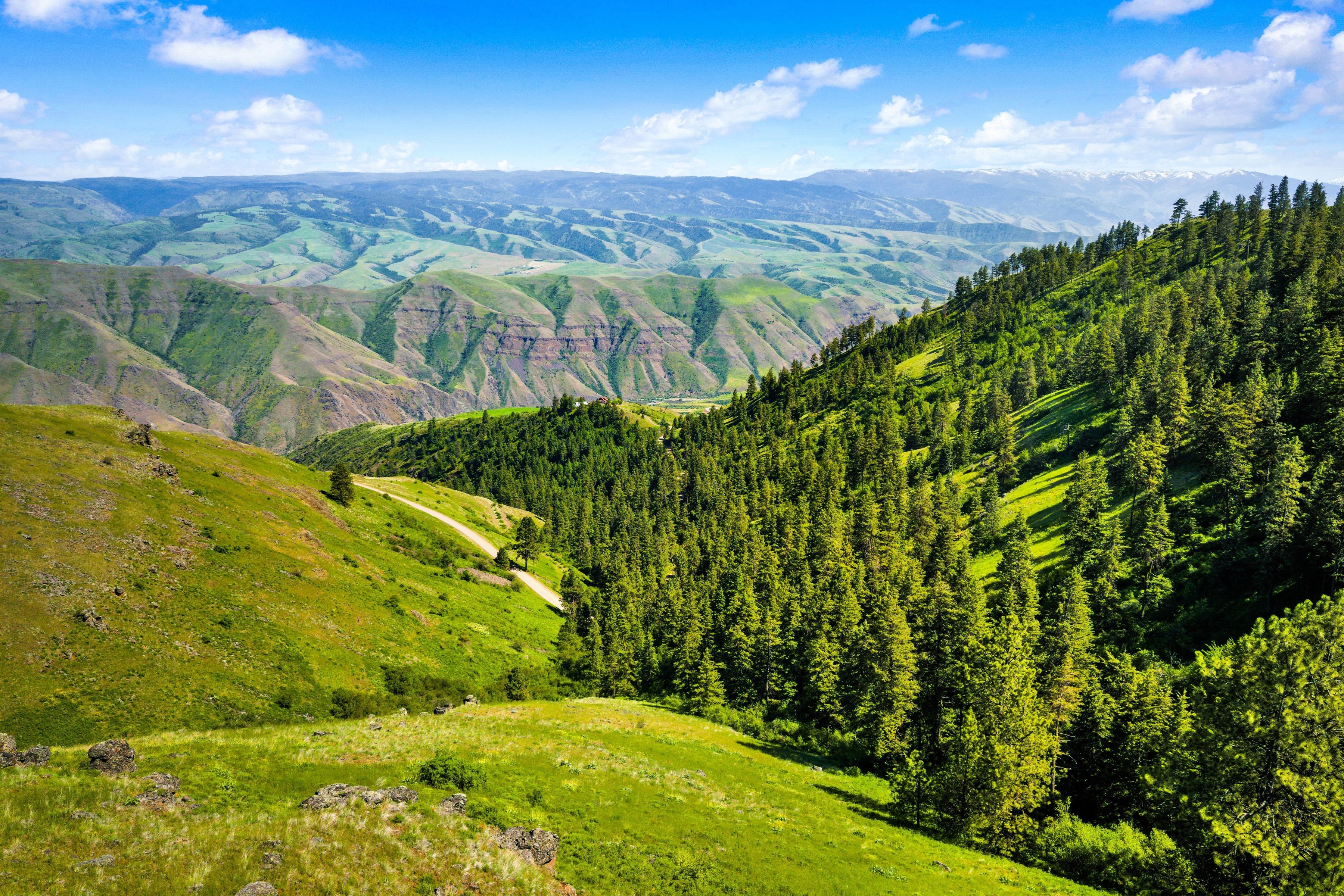 Idaho Dream Property: Hunting, Fishing & Total Privacy - 物件實景
