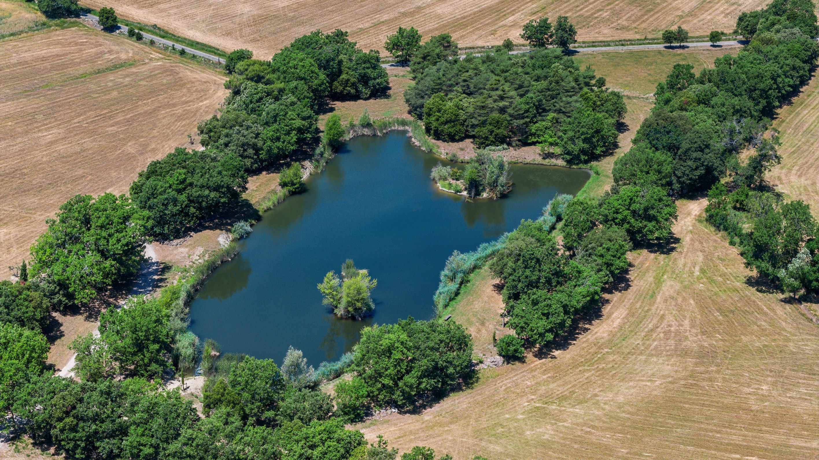  Ampus – A Remarkable 160-Hectare Estate in the Heart of Provence - 物件實景