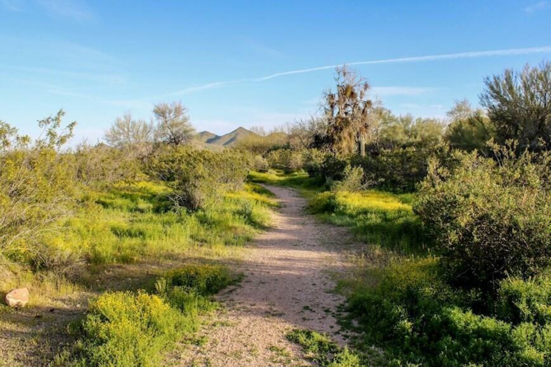  2425 W Bronco Butte Trail¦Phoenix, AZ - 物件實景