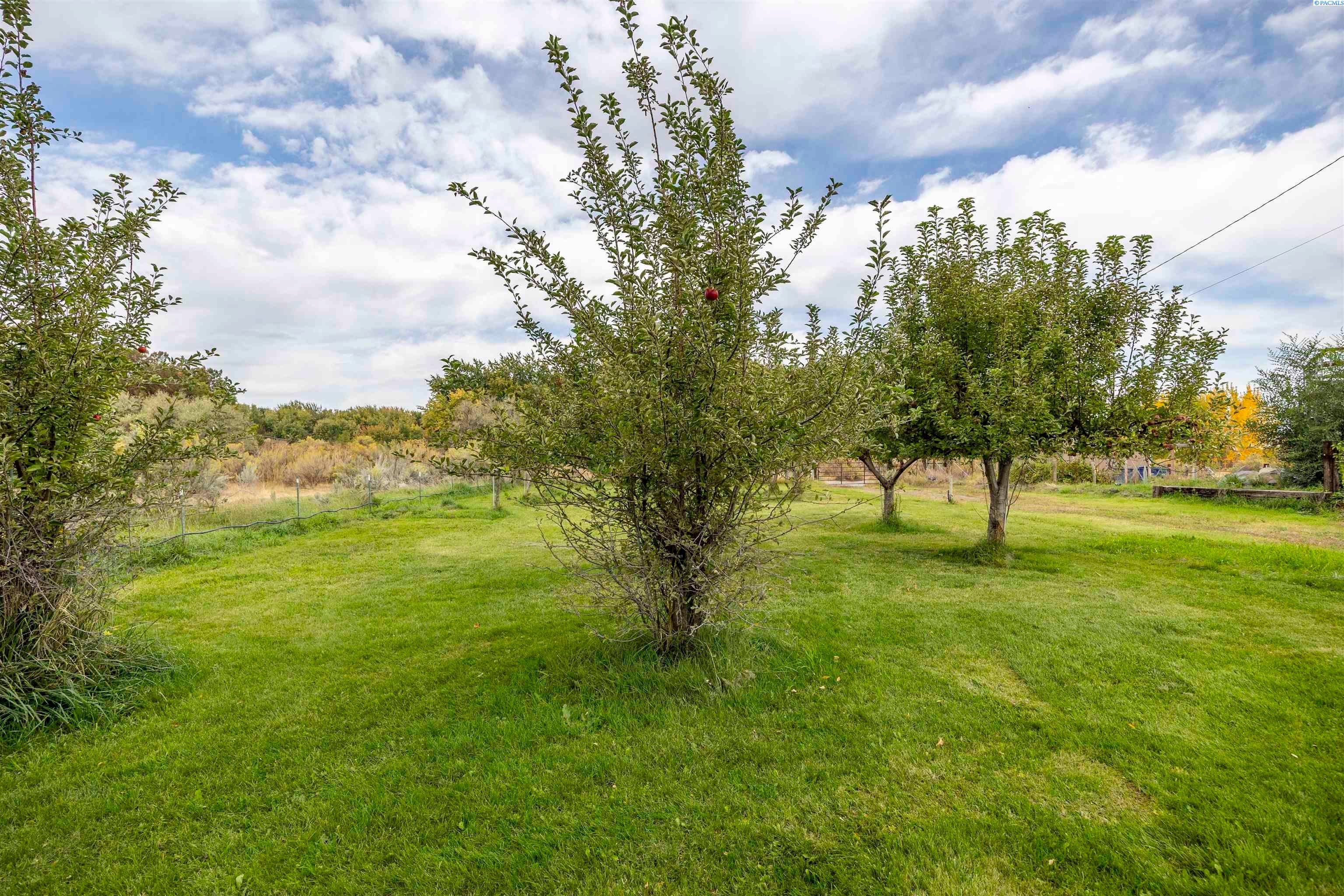 Richland, Washington, 99354, United States, 3 Bedrooms Bedrooms, ,2 BathroomsBathrooms,Residential,For Sale,1978459