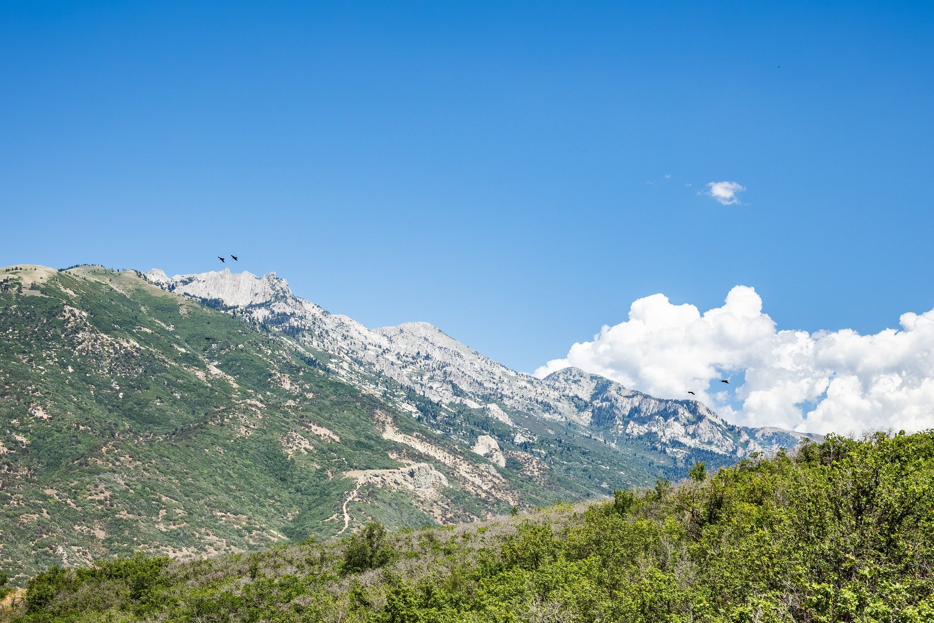  Suncrest Townhouse with Impeccable Valley Views - 物件實景