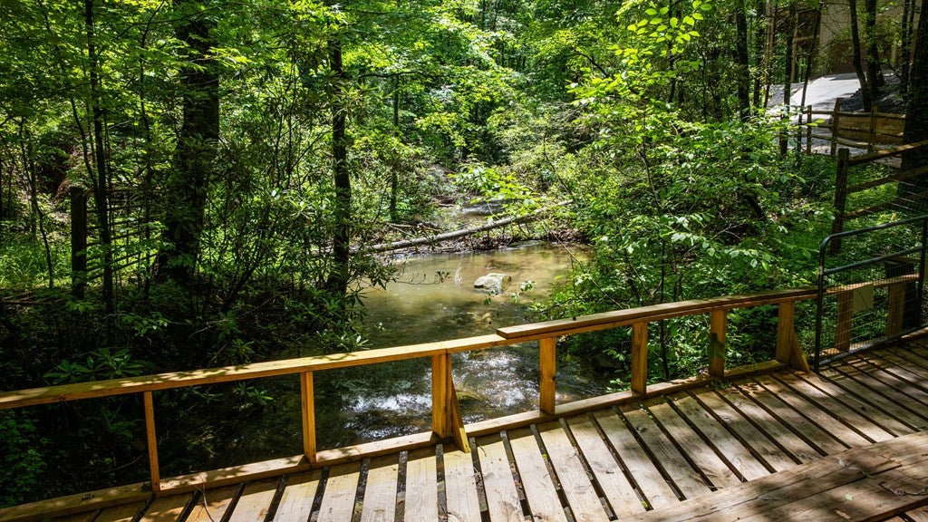 Ellijay, Georgia, 30540, United States, 5 Bedrooms Bedrooms, ,5 BathroomsBathrooms,Residential,For Sale,1868155