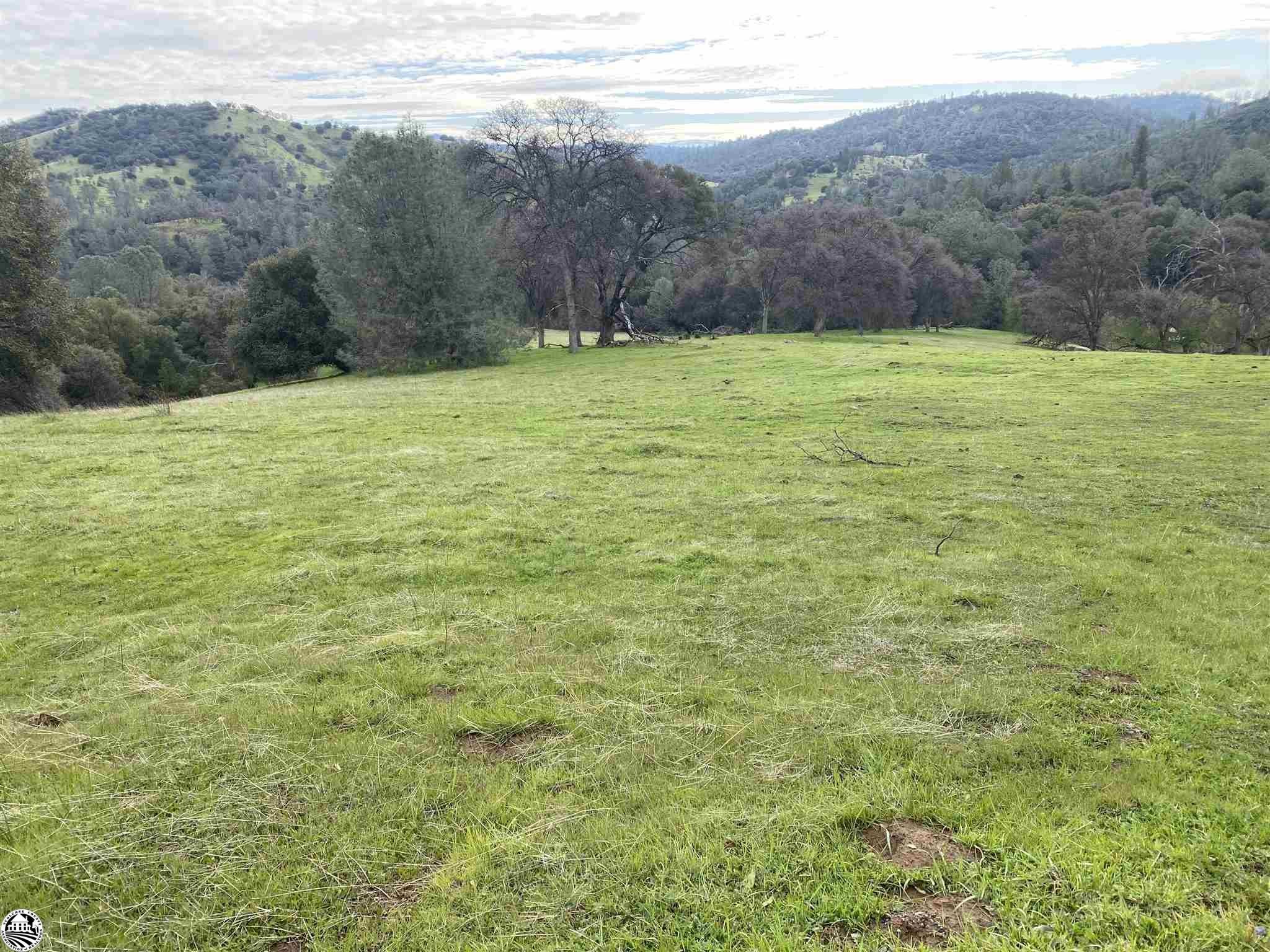 16551 Wards Ferry, Big Oak Flat, California, 95305, United States, 2 Bedrooms Bedrooms, ,2 BathroomsBathrooms,Residential,For Sale,16551 Wards Ferry,1619355