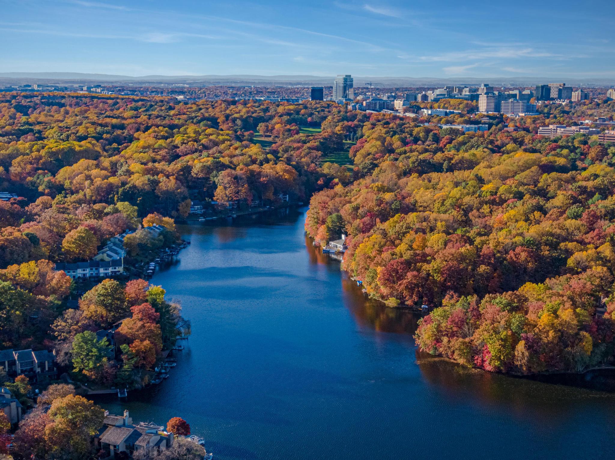  2256 Gunsmith Square, Reston, VA, 20191 - 物件實景
