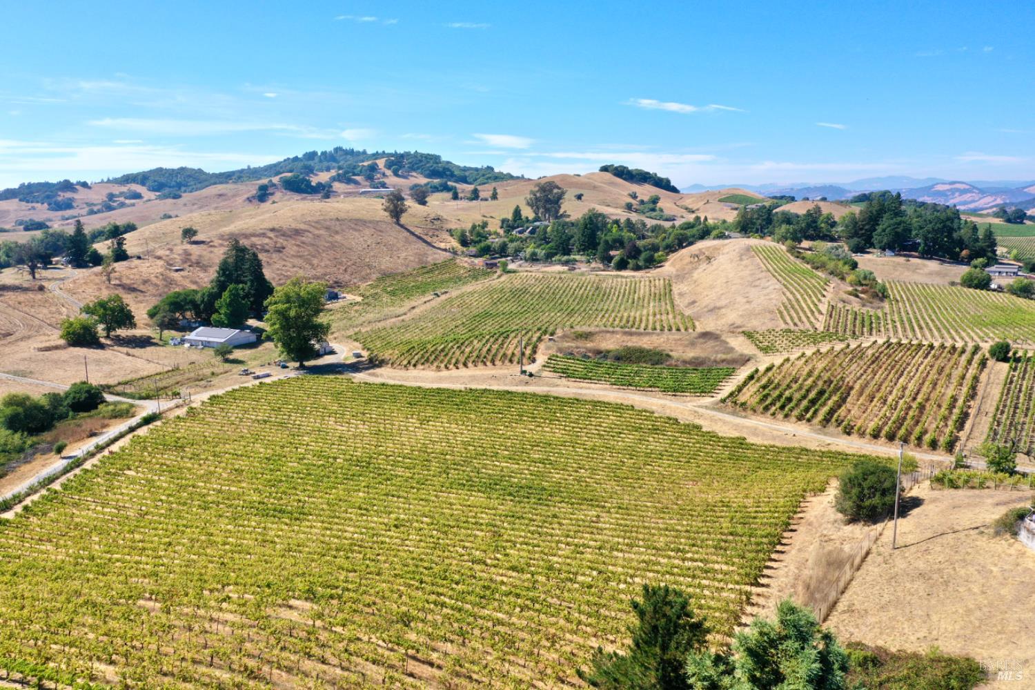 Santa Rosa, California, 95404, United States, 5 Bedrooms Bedrooms, ,4 BathroomsBathrooms,Residential,For Sale,1986461