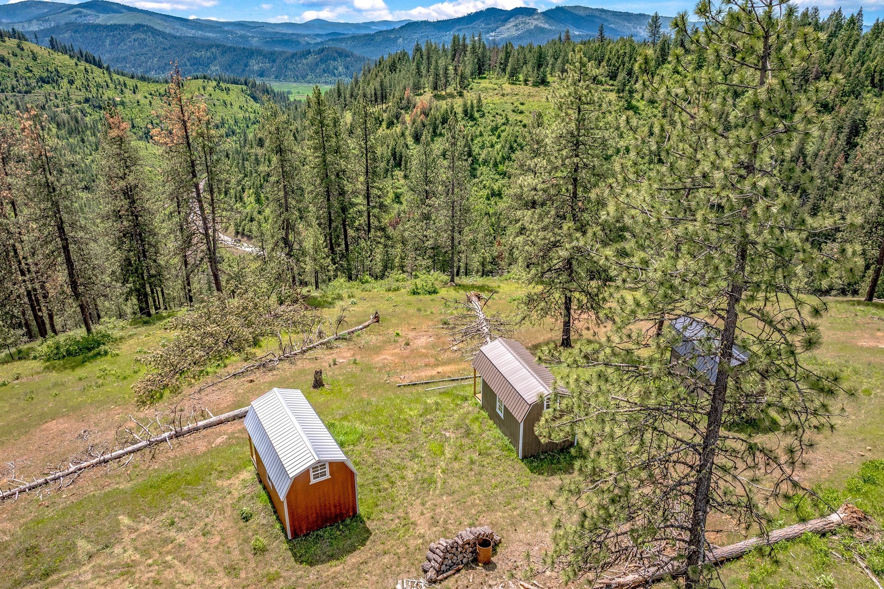  Cabins on 17ac. Surrounded by Lumber Land - 物件實景