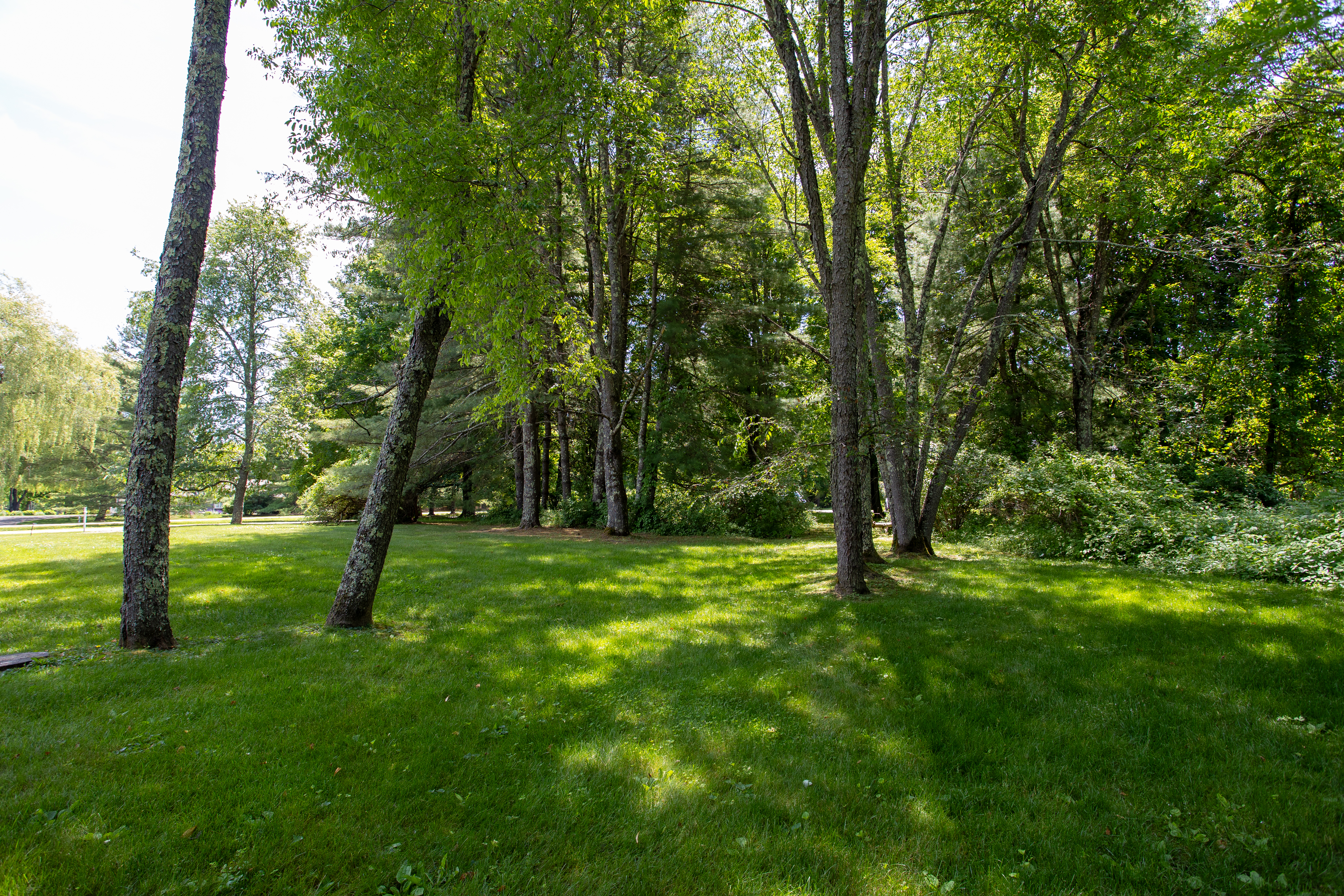  Private Berkshire Sanctuary Near Downtown Great Barrington - 物件實景