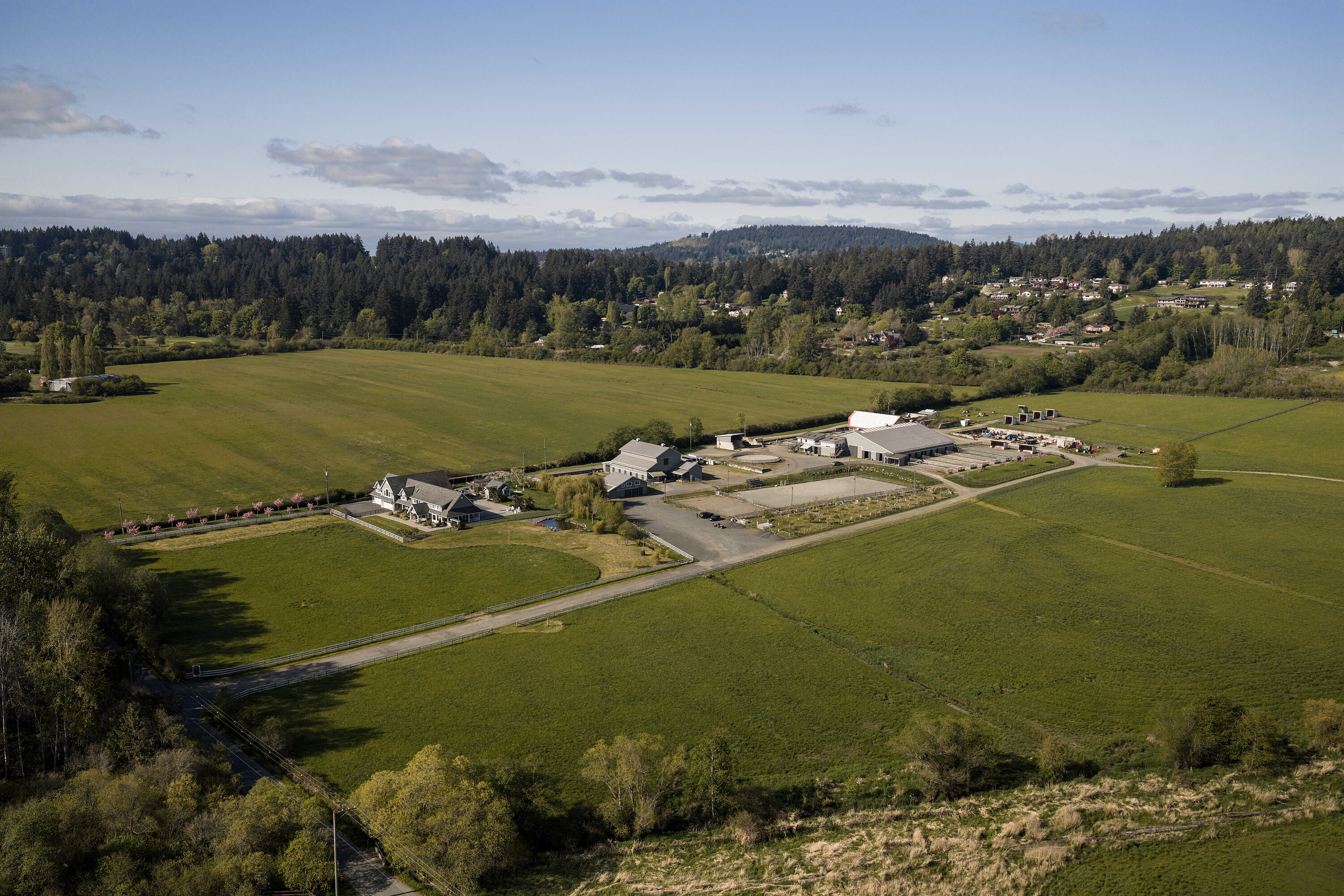  Exquisite Equestrian Estate - 物件實景