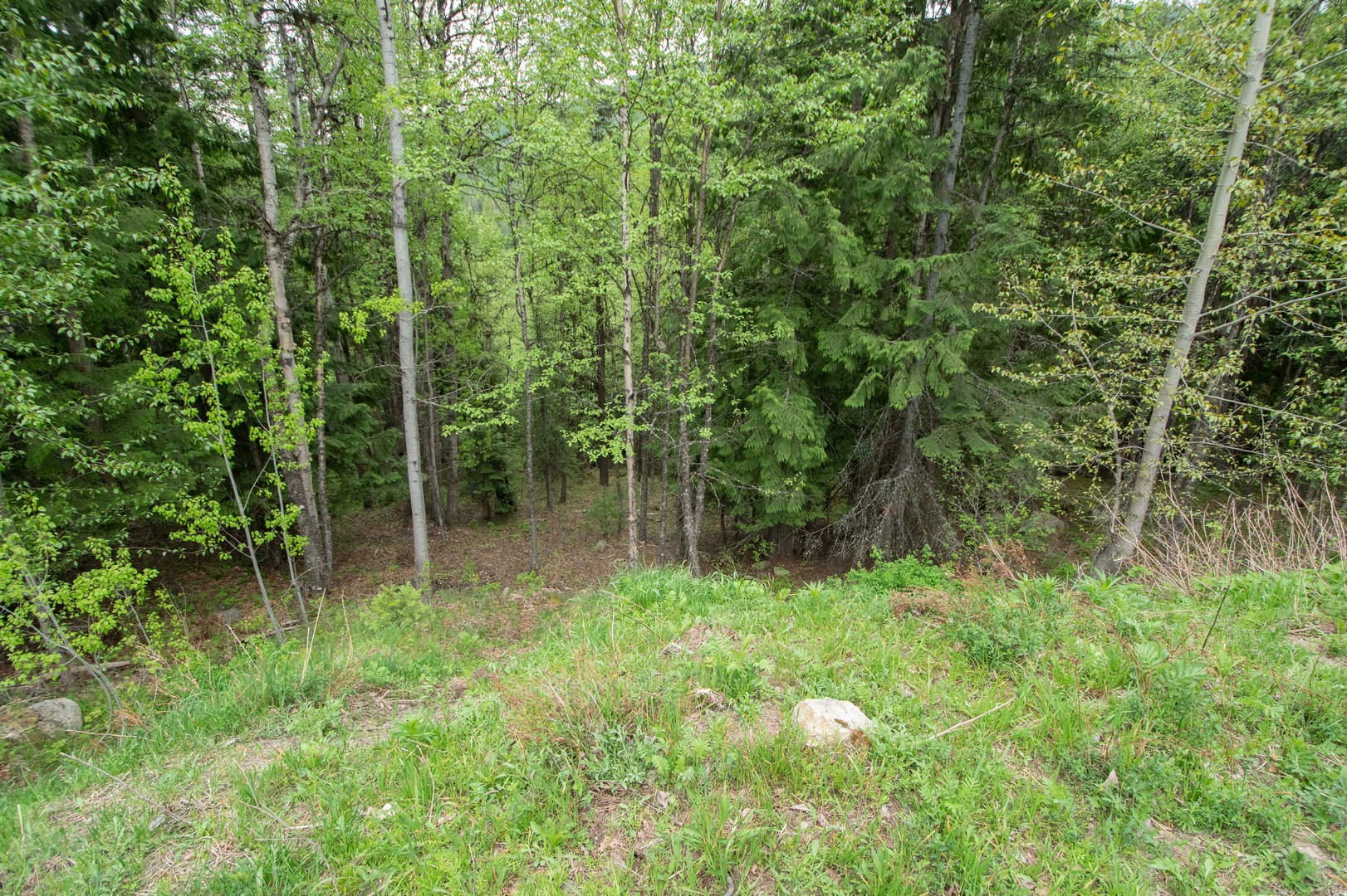 Naples, Idaho, 83847, United States, 2 Bedrooms Bedrooms, ,1 BathroomBathrooms,Residential,For Sale,1979957