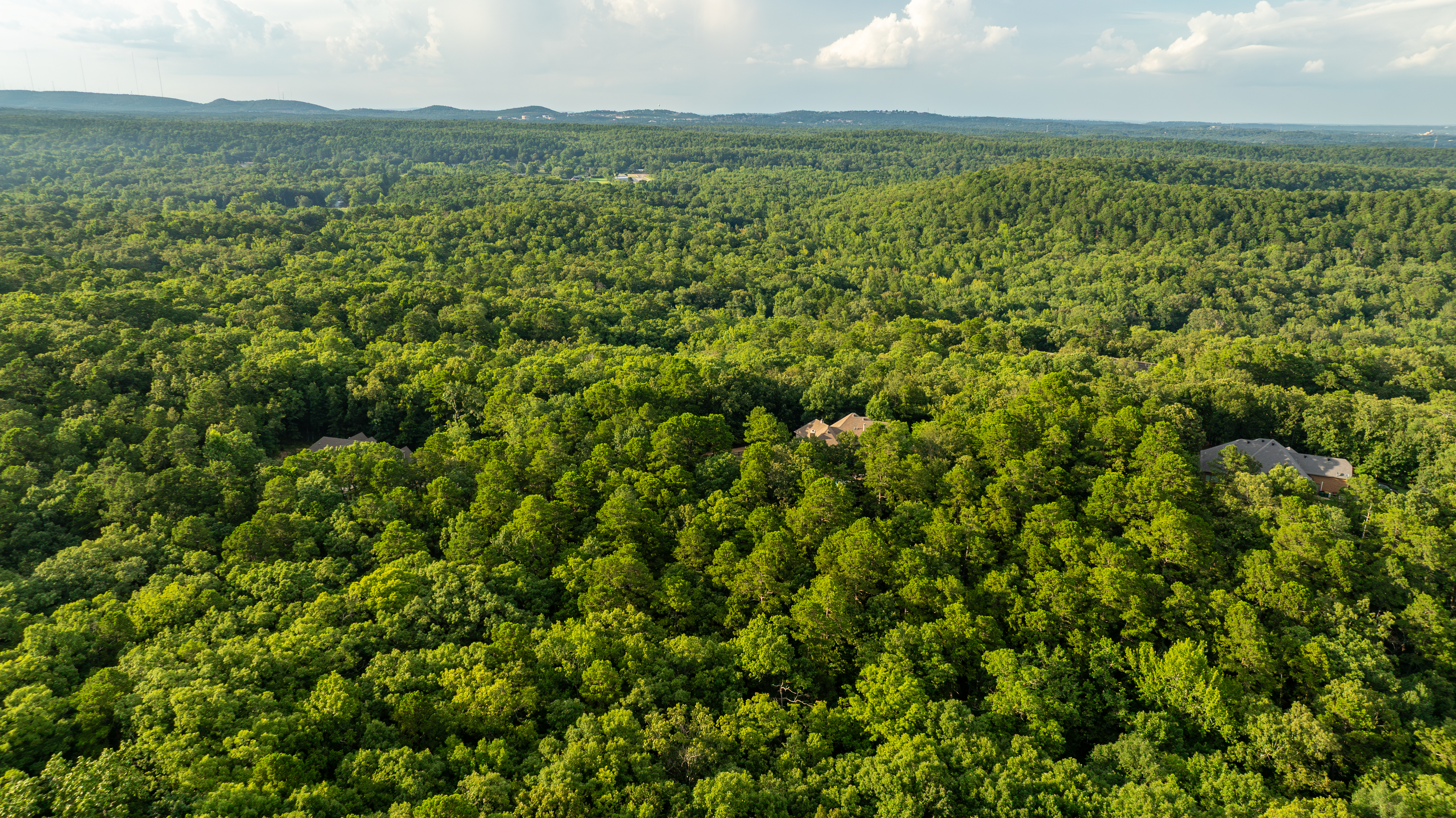  5100 Mchenry Creek, Little Rock, AR, 72210 - 物件實景