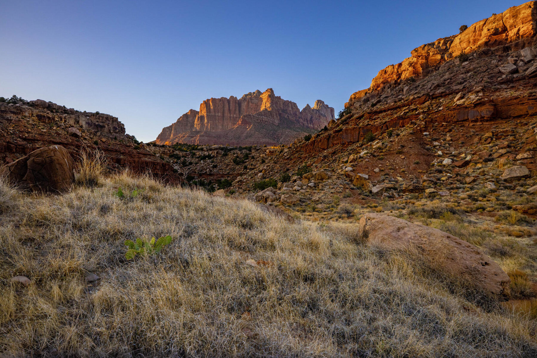  13+ Acres just 5 Miles From Zion National Park - 物件實景