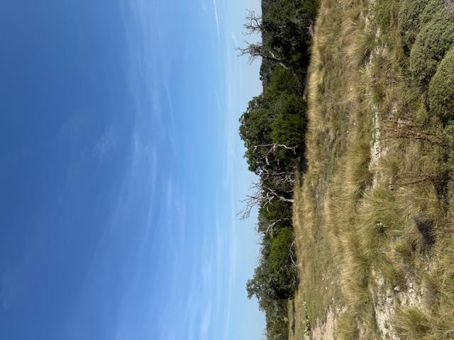 Fredericksburg, Texas, 78624, United States, 3 Bedrooms Bedrooms, ,2 BathroomsBathrooms,Residential,For Sale,1984349