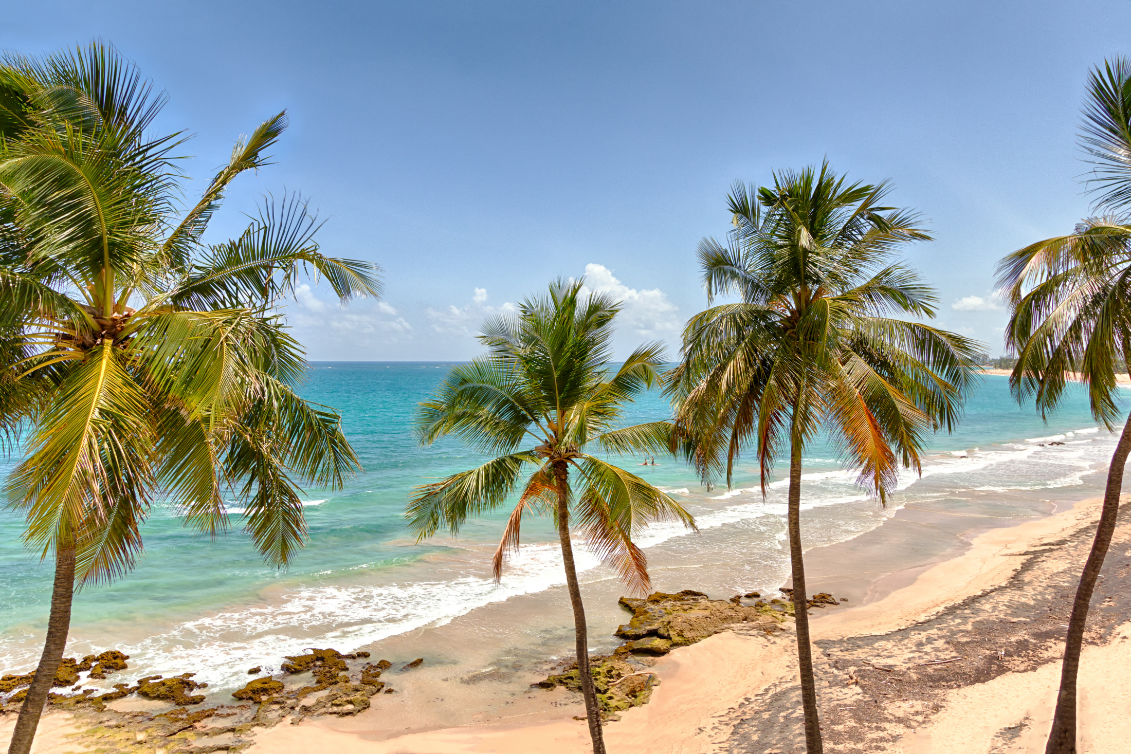  Manuel Rodriguez Serra Apt. 2B - 物件實景