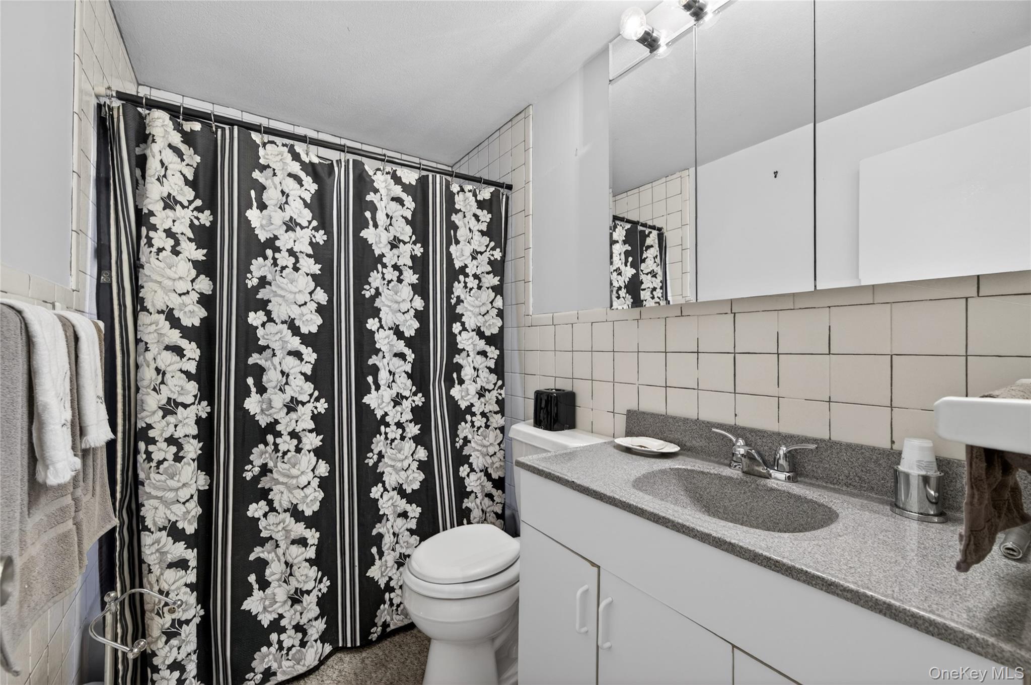  261 Wright Avenue, Carle Place, NY, 11514 - 物件實景