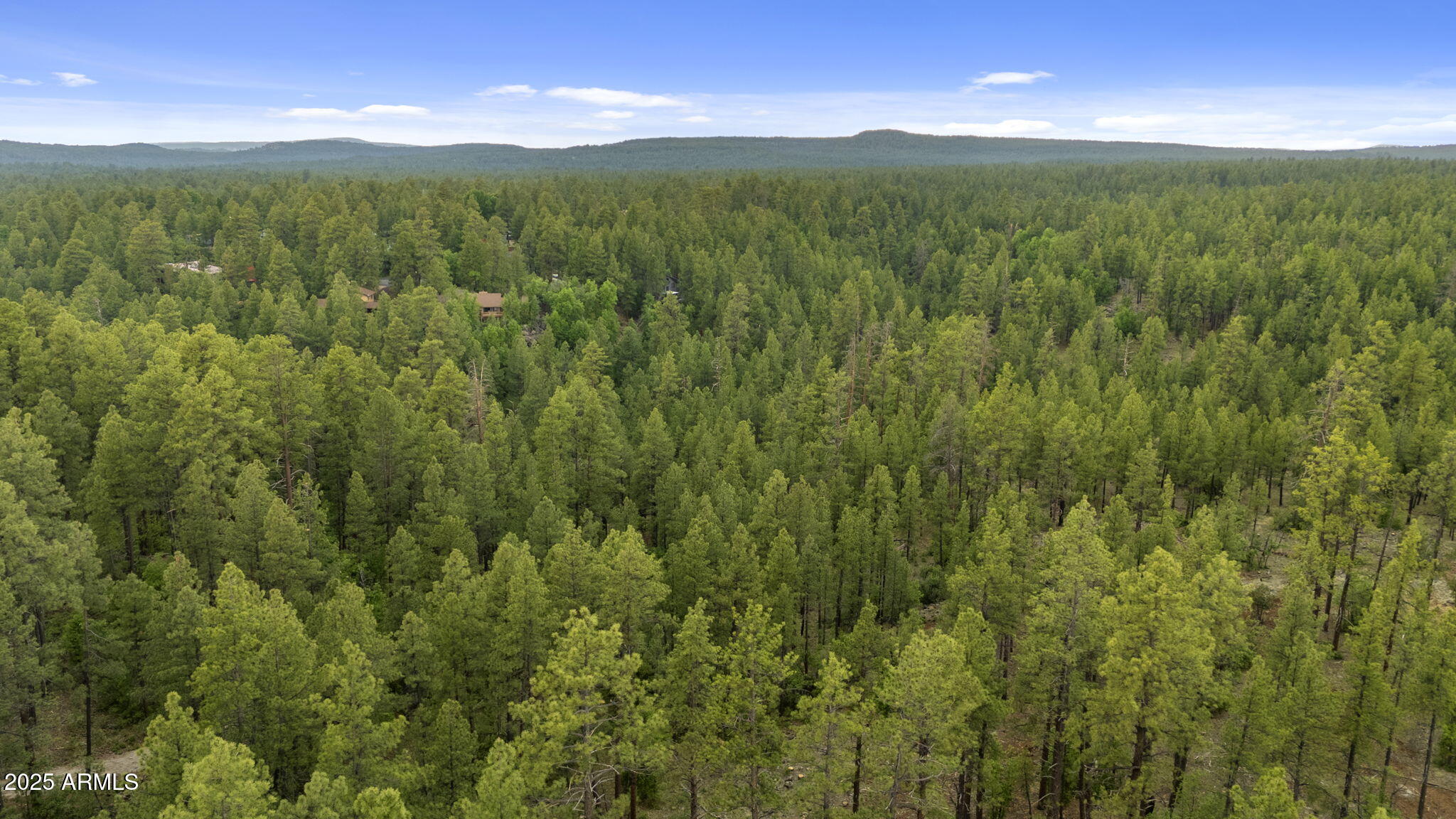 Munds Park, Arizona, 86017, United States, ,Land,For Sale,1865500