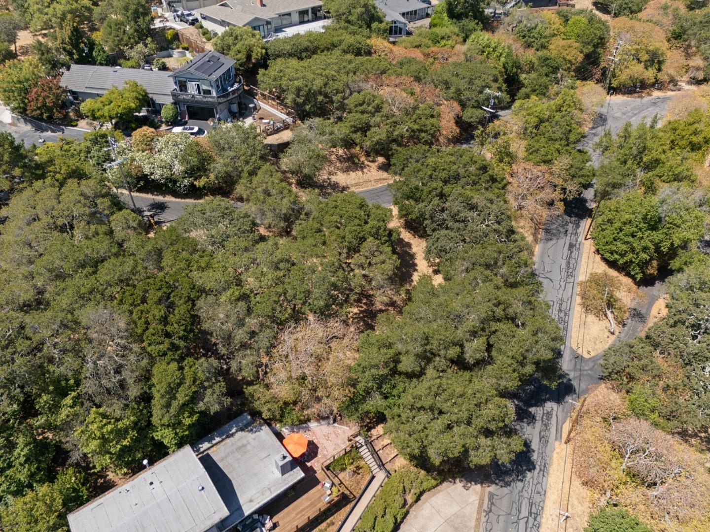 Redwood City, California, 94062, United States, ,Land,For Sale,1907554