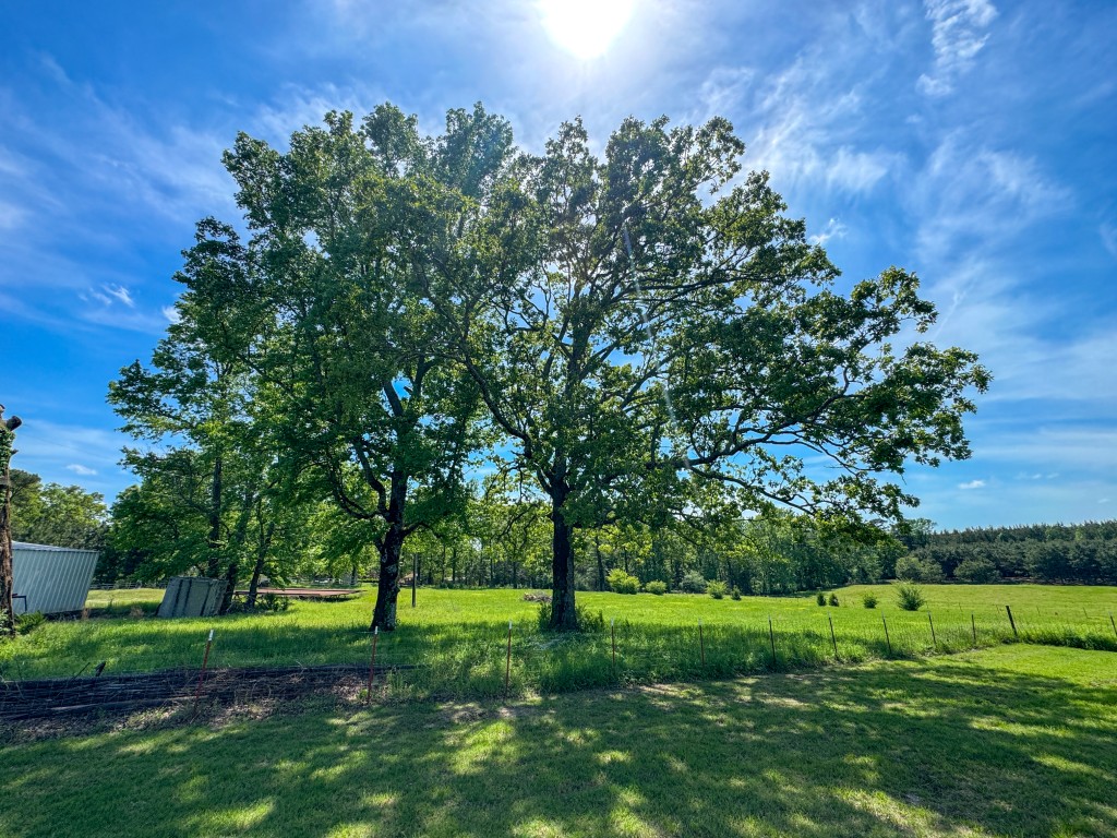 Bloomburg, Texas, 75556, United States, 4 Bedrooms Bedrooms, ,2 BathroomsBathrooms,Residential,For Sale,1789211