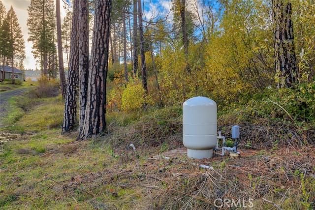 Oroville, California, 95965, United States, 3 Bedrooms Bedrooms, ,3 BathroomsBathrooms,Residential,For Sale,1996477