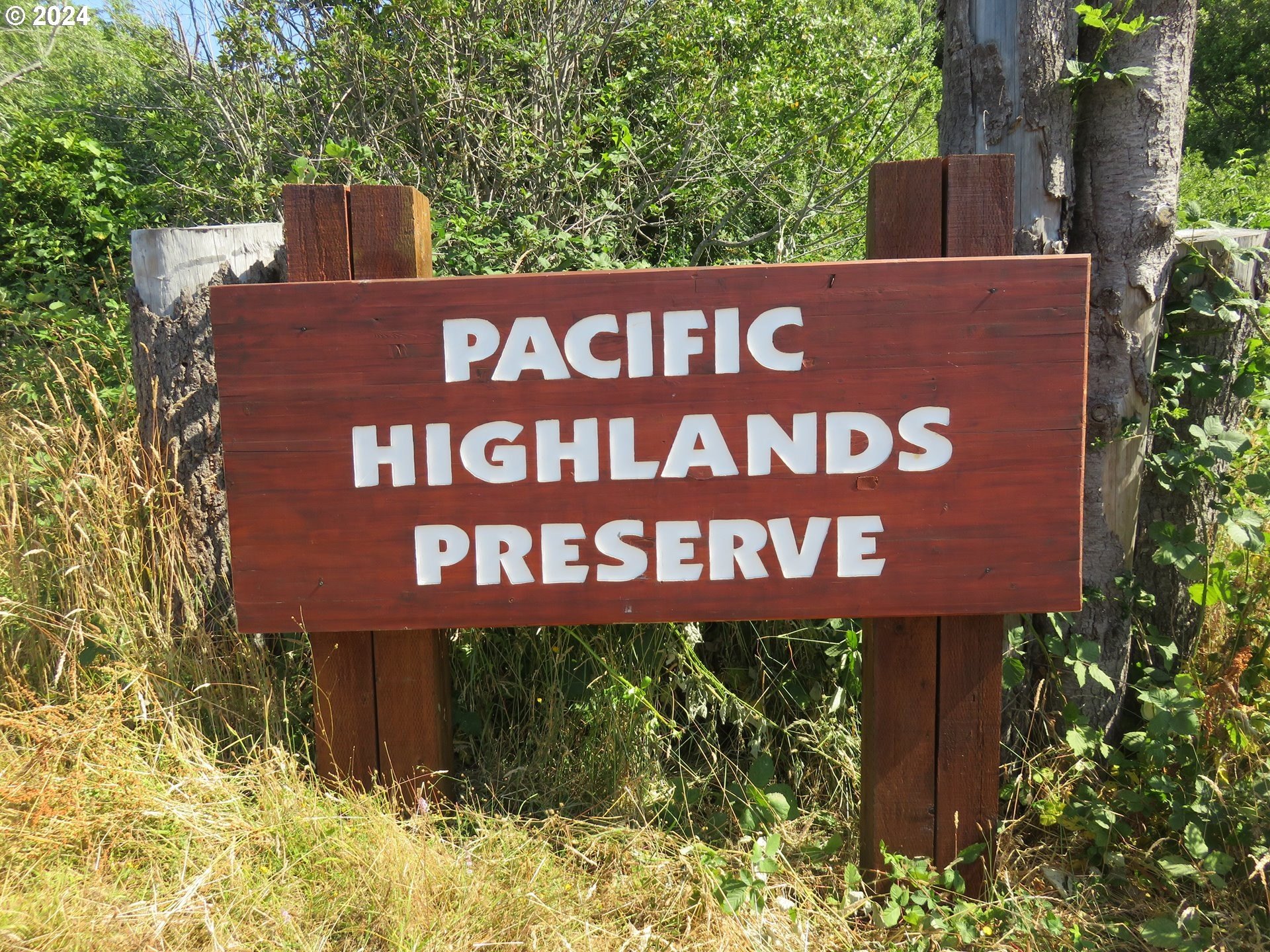 Port Orford, Oregon, 97465, United States, ,Land,For Sale,1977705