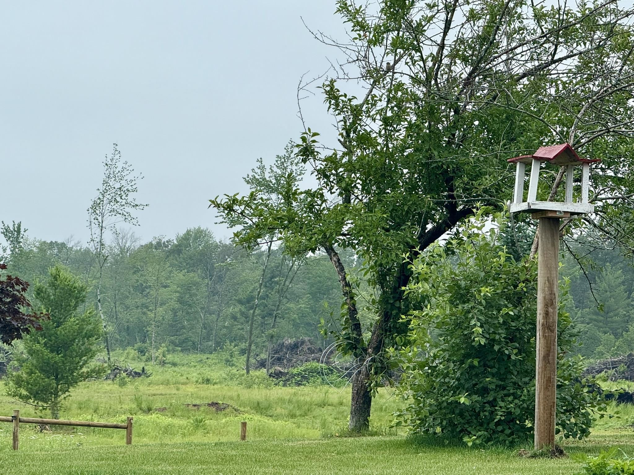 Warrens, Wisconsin, 54666, United States, 4 Bedrooms Bedrooms, ,3 BathroomsBathrooms,Residential,For Sale,1975252