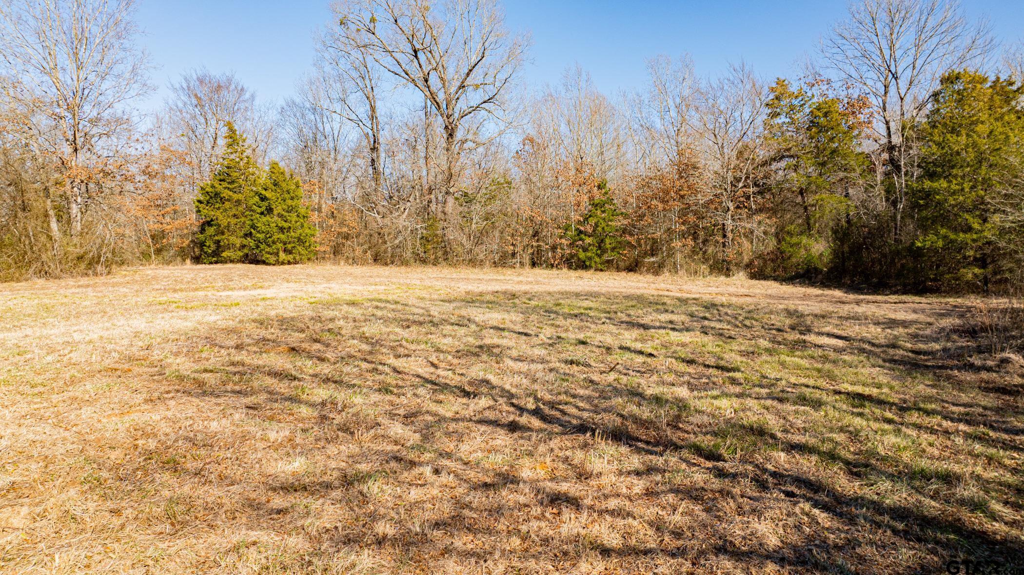 Dekalb, Texas, 75559, United States, ,Land,For Sale,1983481