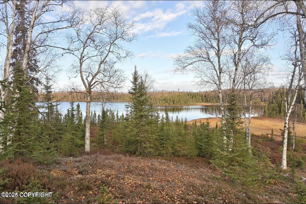 Soldotna, Alaska, 99669, United States, 6 Bedrooms Bedrooms, ,3 BathroomsBathrooms,Residential,For Sale,1984218